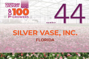 #44: Silver Vase, Inc.