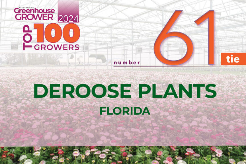 #61 (tie): Deroose Plants