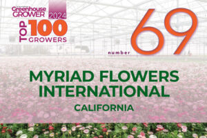 #69: Myriad Flowers International