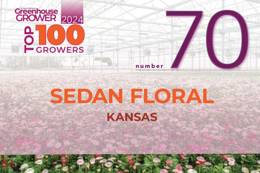 #70: Sedan Floral
