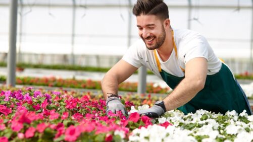 Strategies to Keep Your Growing Team Motivated and Engaged