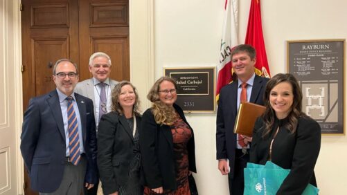 The Spring of Hope: 13 Strategies to Keep Your Business Strong