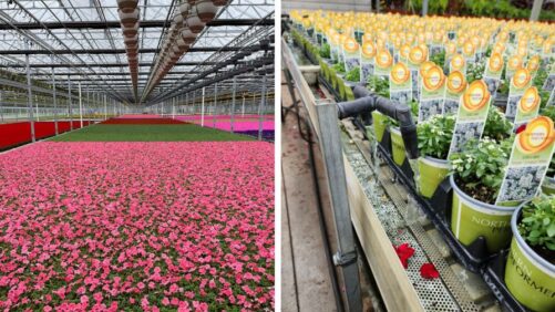 Operations Focus on Sustainability With MPS Certification