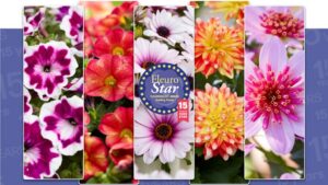 5 Plant Varieties Competing to Win the FleuroStar Contest
