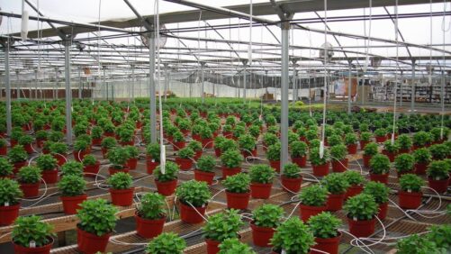 A Holistic Approach to Greenhouse Water Management