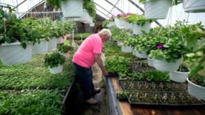 Spring Growing Season Starting Slow for Northeast Greenhouses and Nurseries