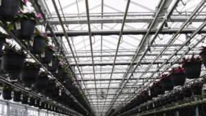 Solexx Greenhouse Covering