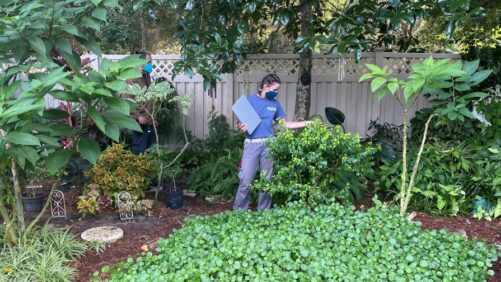 New Research Identifies High Plant Diversity Levels in Urban Areas