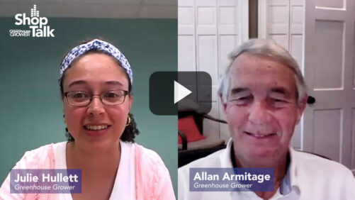 Greenhouse Grower’s Hot Takes on Verbena, Hostas, and Hydrangeas