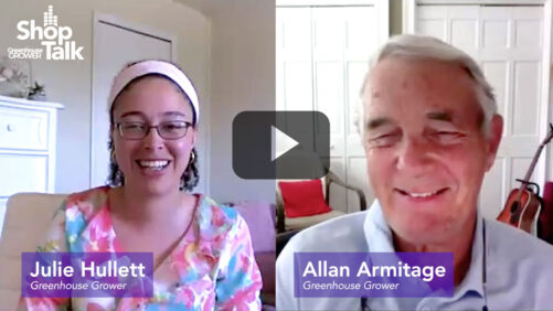 Greenhouse Grower’s Hot Takes on Gerbera, Coreopsis, and Buddleia