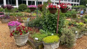 More Varieties Trialed at UGA During 2024 Southern Garden Tour