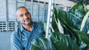 Save Money on Shipping After the Grow