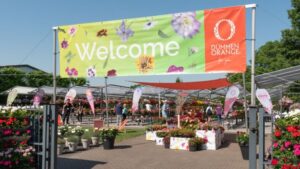 Dümmen Orange and Danziger Prepare for FlowerTrials Presentations