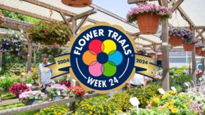 Video Spotlight: Highlights from FlowerTrials 2025