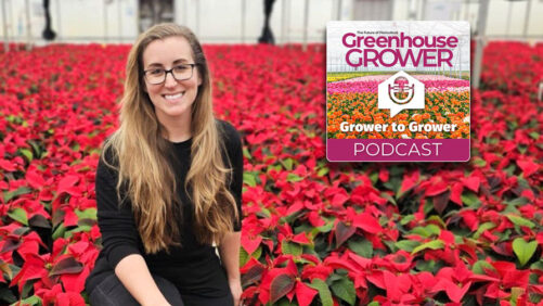 Greenhouse Grower to Grower Podcast: Insights on IPM and Biocontrols With Michelle Opela at Costa Farms