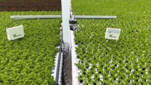 Growers Can Now Gain Photosynthesis Insights Through New Tech Partnership
