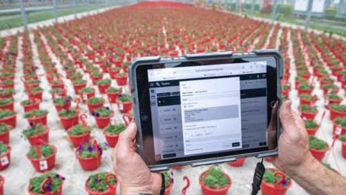 Myths vs. Realities in Greenhouse Software