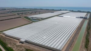 Cox Farms Expands Operations as Mucci Farms Acquires Hacienda North Farms