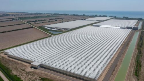 Cox Farms Expands Operations as Mucci Farms Acquires Hacienda North Farms