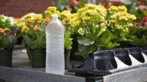 The Importance of a Safety Audit: Why It Matters and How to Get Started