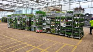 The  ‘Controlled Chaos’ of Transportation in Horticulture