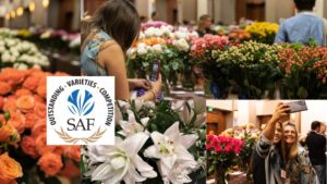 SAF Invites Breeders and Growers to Enter the 2024 Outstanding Varieties Competition