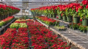 Learning Opportunity: Floriculture Trends from the USDA Agriculture Census