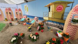 Best of CAST 2024 Highlights from Beekenkamp, Schoneveld, and Hem Genetics