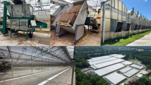 White’s Nursery and Greenhouses Auctioning Off Its Assets Following Closure Announcement