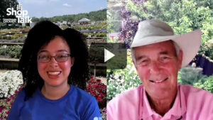 Greenhouse Grower’s Hot Takes on Zinnia, Veronica, and Crape Myrtle