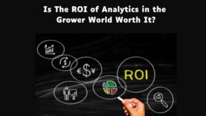 How an Investment in Analytics Helps Growers