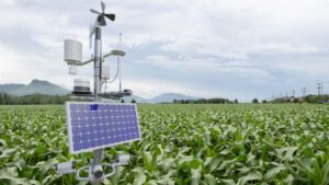 How IoT in Agriculture Is Transforming the Way We Grow