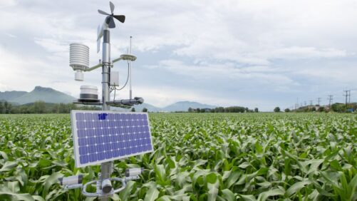 How IoT in Agriculture Is Transforming the Way We Grow