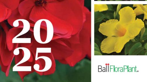 2025 Ball FloraPlant Product Catalog Now Available