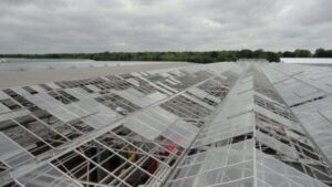 8 Steps to Prepare Your Greenhouse for Storms and Natural Disasters