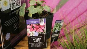 Grower-Retailers Pick Their Favorites From the Cultivate’24 Trade Show Floor