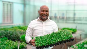 A Research Scientist’s Perspective: Growing Media Trends and Tools to Watch