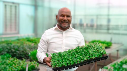 A Research Scientist’s Perspective: Growing Media Trends and Tools to Watch