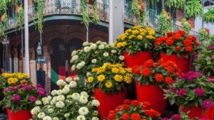 All-America Selections Announces Its First 5 Winners for 2025