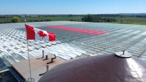 Incentives Help Growers Invest in Solar Energy and Agrivoltaics