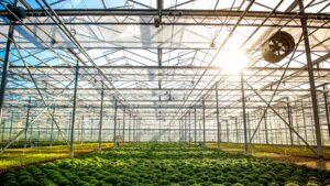 Shading Products to Improve Plant Production