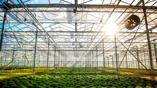 Shading Products to Improve Plant Production