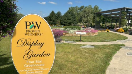 An Up-Close Look at Four Star Greenhouses’ 2024 Plant Trials