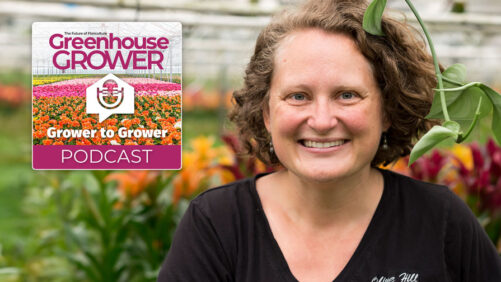 Greenhouse Grower to Grower Podcast: Denise Godfrey of Olive Hill Greenhouses on Sustainability in Floriculture