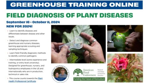 2024 Greenhouse Training Online Continues with New Course on Plant Disease Diagnosis