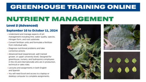 2024 Greenhouse Training Online Continues with ‘Nutrient Management 2’