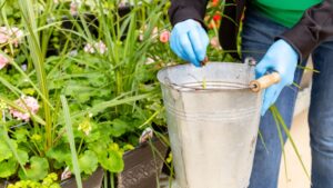 Beyond Plant Health: How to Keep Workers Safe When Using Pesticides