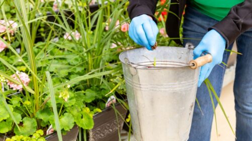 Beyond Plant Health: How to Keep Workers Safe When Using Pesticides