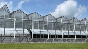 Spring 2024 Growing Recap: Weather Mostly Cooperates