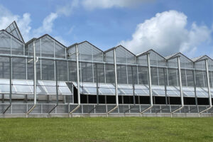 Spring 2024 Growing Recap: Weather Mostly Cooperates